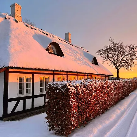Aesthetic Rural Idyll In East Funen Ferienhaus Nyborg